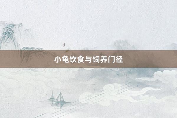 小龟饮食与饲养门径