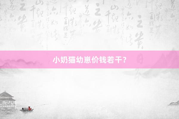 小奶猫幼崽价钱若干?